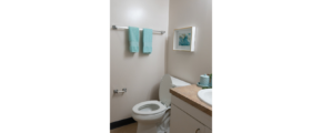 a bathroom with a toilet, sink, and mirror