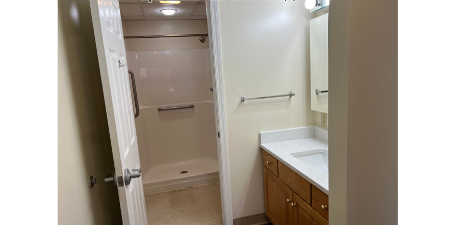 a bathroom with a sink, mirror, and shower