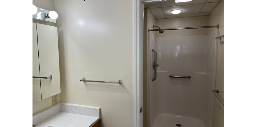 a bathroom with a sink, mirror, and shower