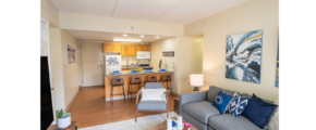 a living room filled with furniture and a kitchen