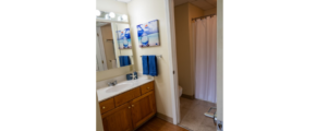 a bathroom with a sink, mirror, and shower