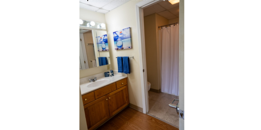 a bathroom with a sink, mirror, and shower