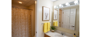 a bathroom with a sink, mirror, and shower