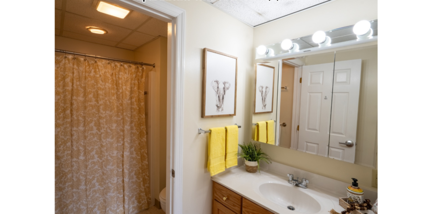 a bathroom with a sink, mirror, and shower