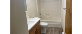 a bathroom with a sink, toilet and bathtub