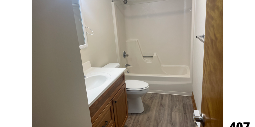 a bathroom with a sink, toilet and bathtub