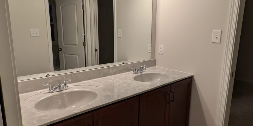 a bathroom with two sinks and a large mirror